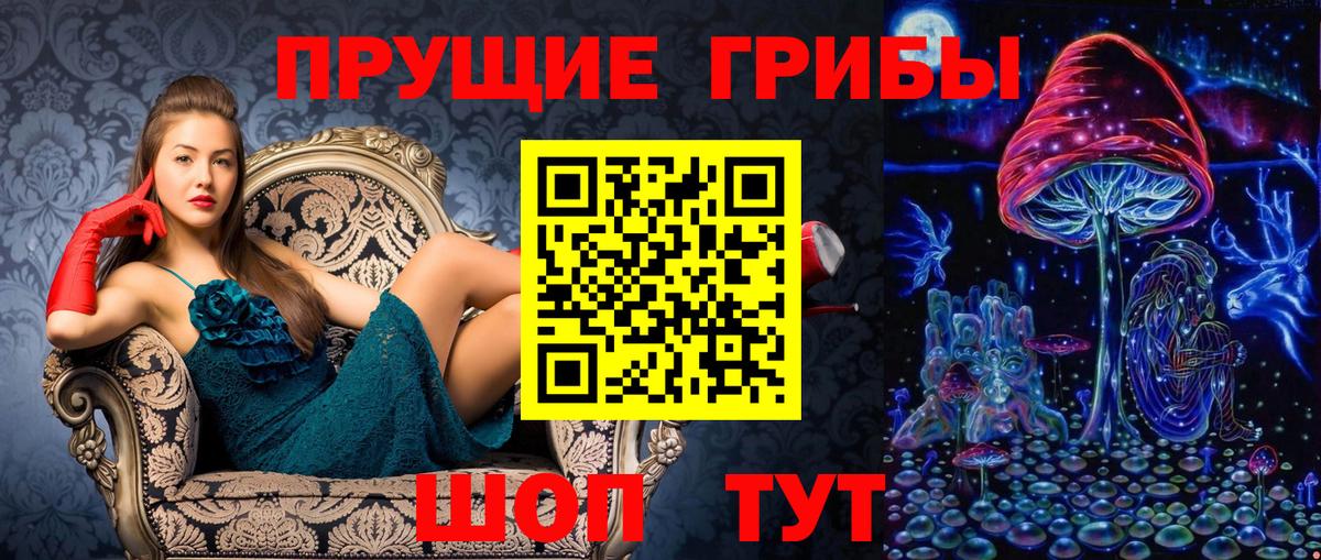 Галлюциногенные грибы Cubensis  Вход с VPN  Галлюциногенные грибы прущие грибы  Благовещенск 