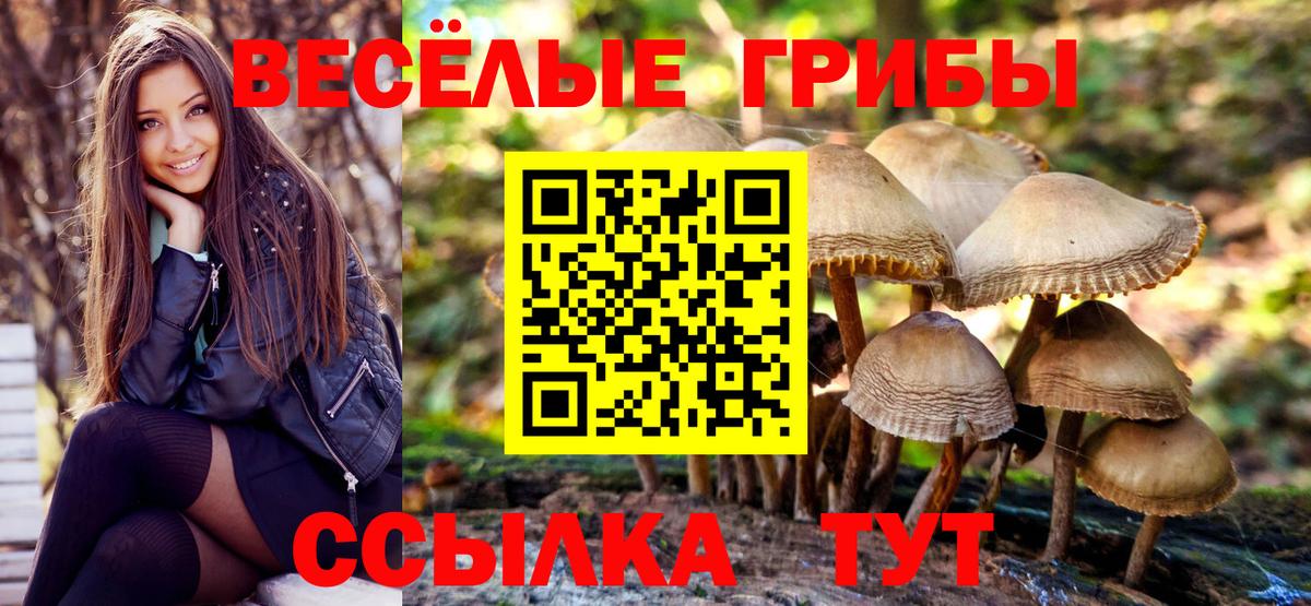 Псилоцибиновые грибы MAGIC MUSHROOMS Благовещенск